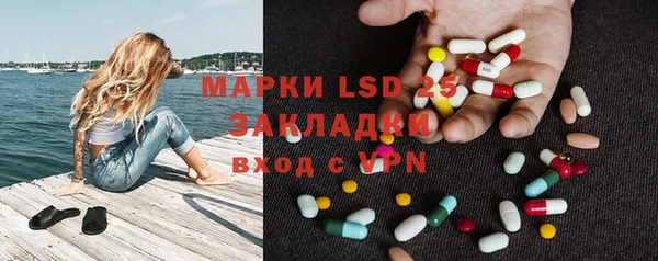 хмурый Алексин