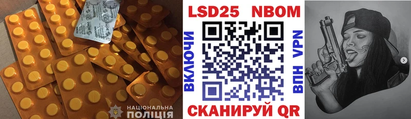дарк нет наркотические препараты  закладки  Тавда  ЛСД экстази кислота 